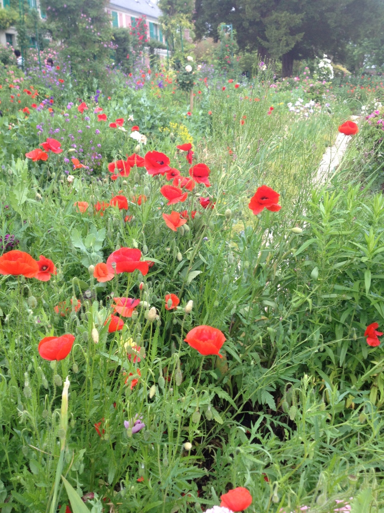 Poppies, Monet's Garden, Giverny